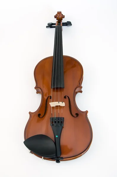 stock image Violin