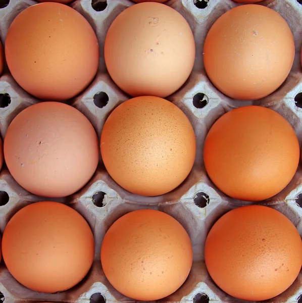 Stock image Chicken eggs