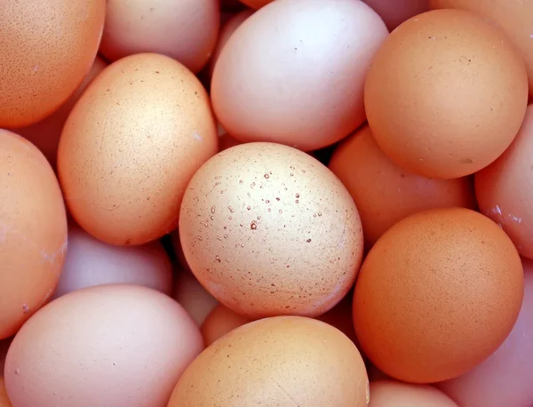 Ovos de galinha Fotos De Bancos De Imagens Sem Royalties