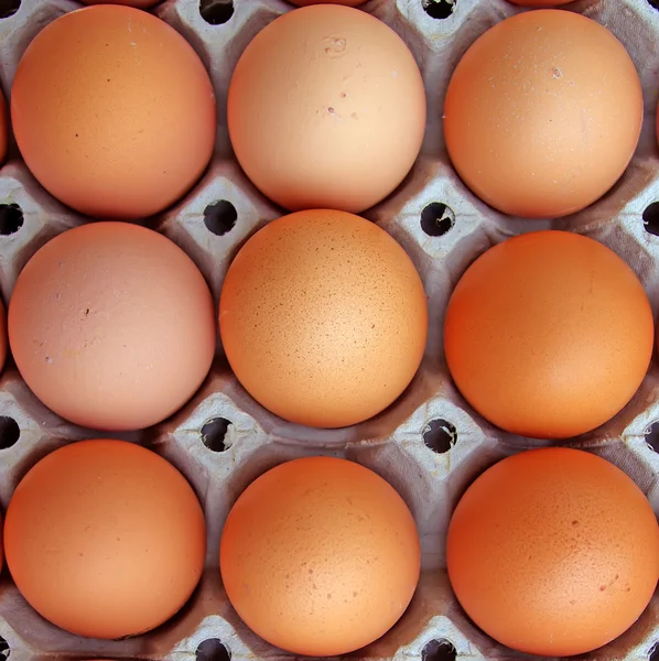Αυγά κότας Εικόνα Αρχείου