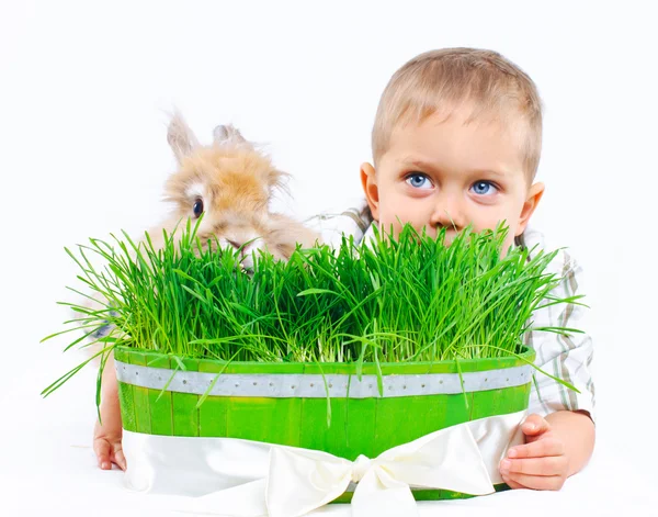 Easter Bunny. Cute boy with a rabbit — Stock Photo, Image