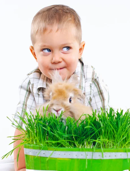 Osterhase. Netter Junge mit einem Kaninchen — Stockfoto