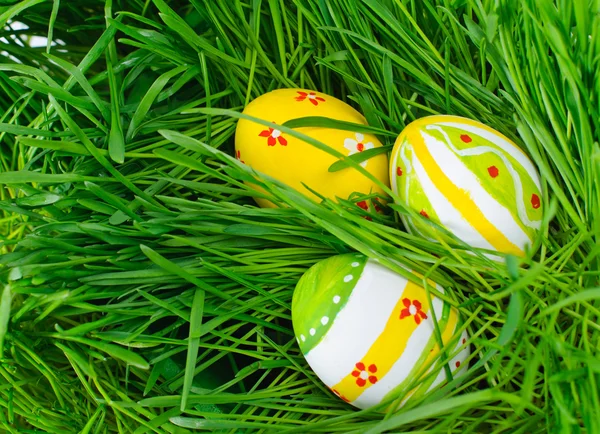Oeufs de Pâques sont colorés dans l'herbe verte de printemps — Photo