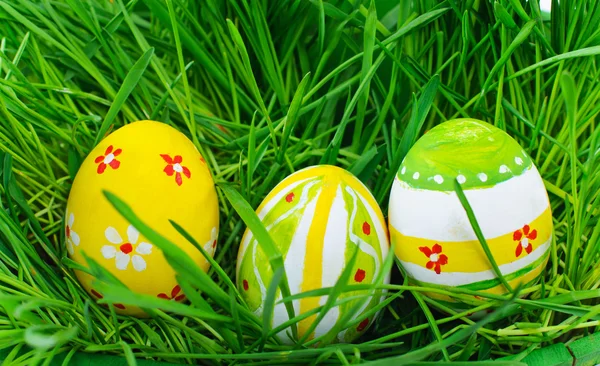 Easter eggs are colored in green spring grass — Stock Photo, Image
