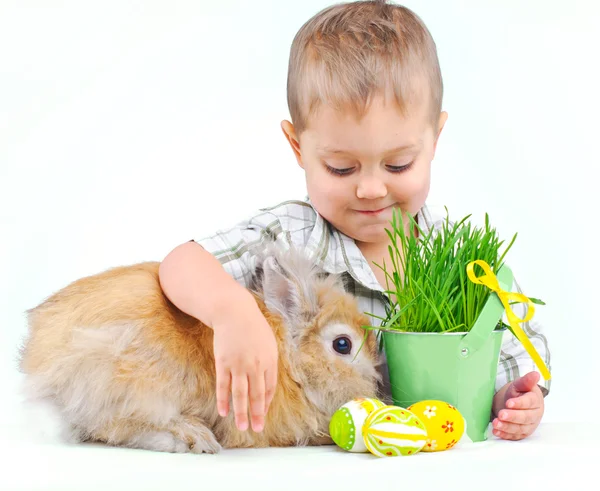 Cute little boy with Bunny and Easter eggs — Stock Photo, Image