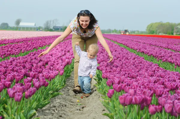 A Tulip Field. Madre con figlio nel campo dei tulipani — Foto Stock