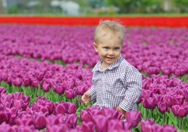 Junge im Tulpenfeld — Stockfoto