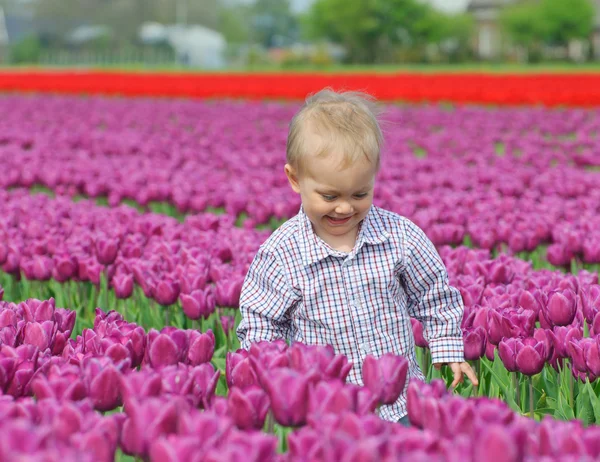 Niño en el campo de tulipanes — Foto de Stock
