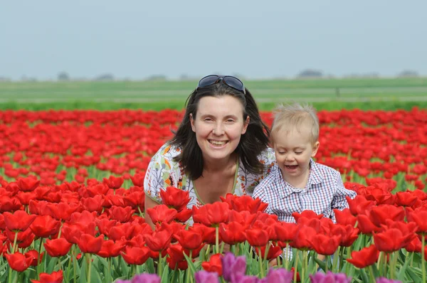 Tulipán pole. matka se synem v oboru tulipány — Stock fotografie
