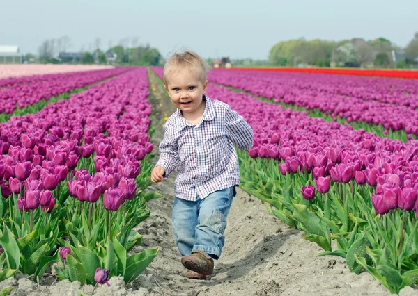 Garçon dans Tulip Field — Photo