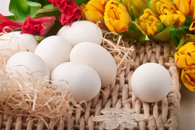 White eggs and spring tulips basket on straw tray