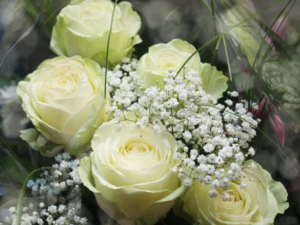 束白玫瑰 — 图库照片