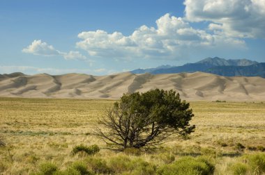 Great Sand Dunes Landscape Colorado clipart