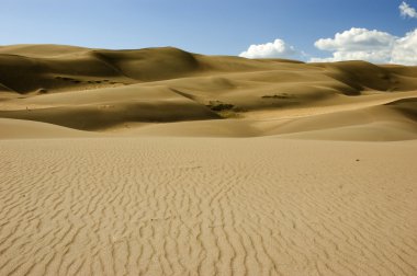 Great Sand Dunes National Park Landscape clipart