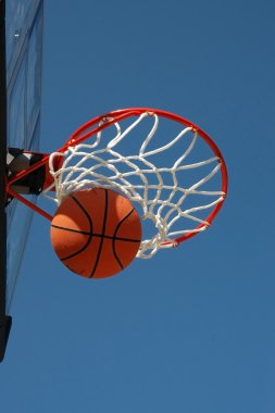 Basketbol net
