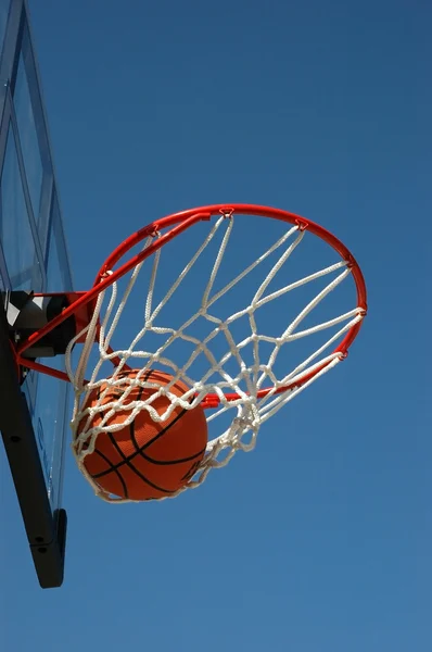 stock image Basketball in the Net