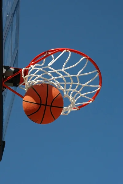 stock image Basketball in the Net