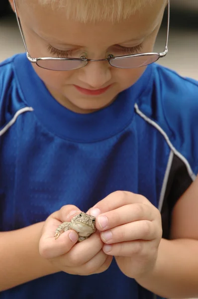 Νεαρό αγόρι ελέγχει βάτραχος — Φωτογραφία Αρχείου