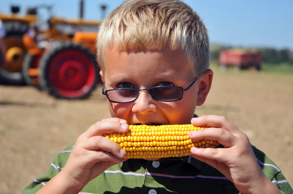 Хлопчик їсть кукурудзу на коб Стокове Фото