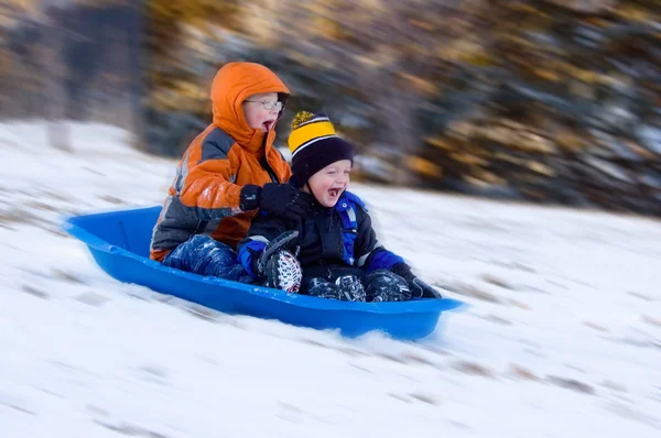 激动的男孩们在雪橇上骑 免版税图库照片