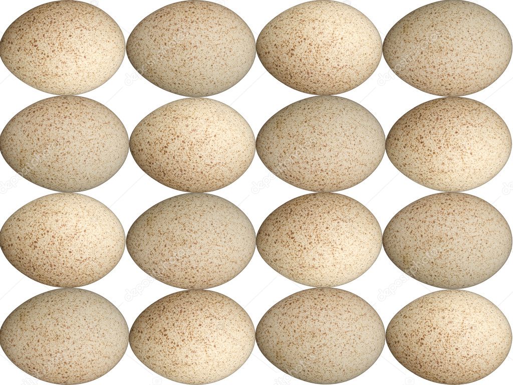 Speckled Egg Background