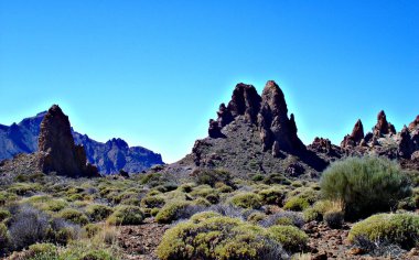 In Teide Nationalpark on Tenerife clipart