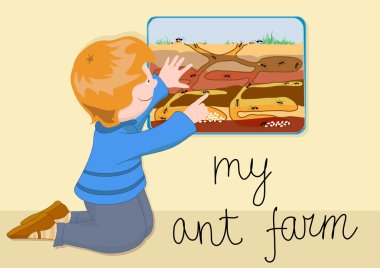 My ant farm clipart