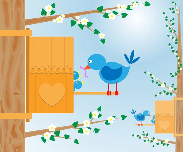 Uccelli e birdhouse — Vettoriale Stock