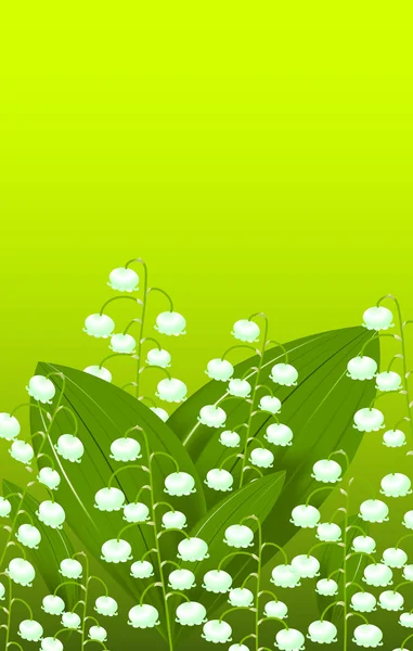 Lily of the valley — Stock Vector