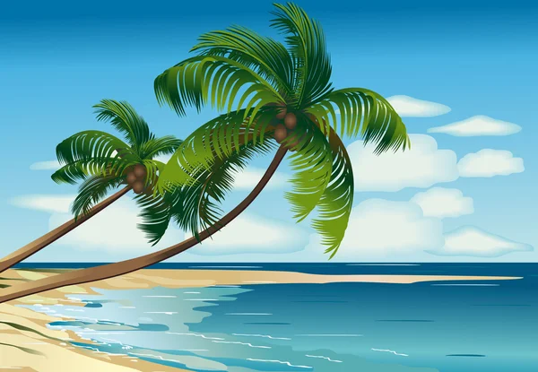 Palm θάλασσα — Διανυσματικό Αρχείο