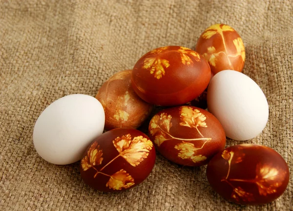 Velikonoční vajíčka Stock Snímky