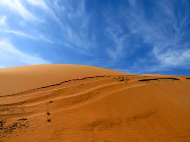 çöl dune