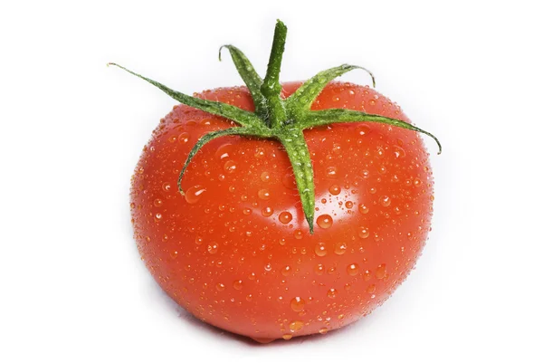 Isoleret våd tomat . - Stock-foto