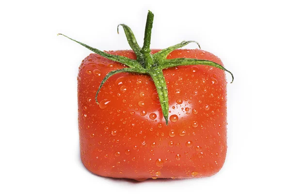 Čtvercové rajče s kapkami vody. — Stock fotografie