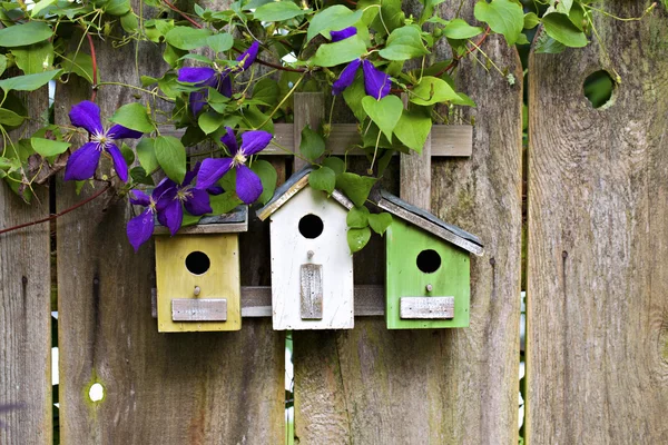 Três casas de pássaros na cerca de madeira velha — Fotografia de Stock
