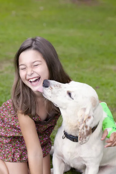 Söt liten flicka att få kiss från hund Royaltyfria Stockfoton