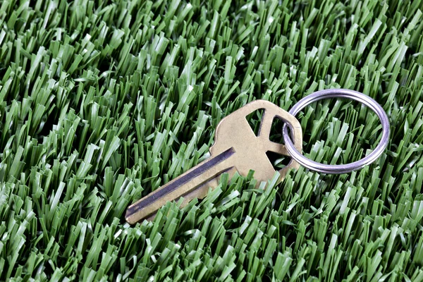 Key with keyring laying in mown grass — Stock Photo, Image