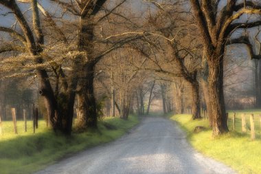 Gravel country road with fog clipart