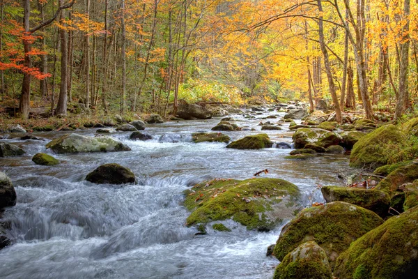 Smoky Mountain Stream en otoño Fotos De Stock