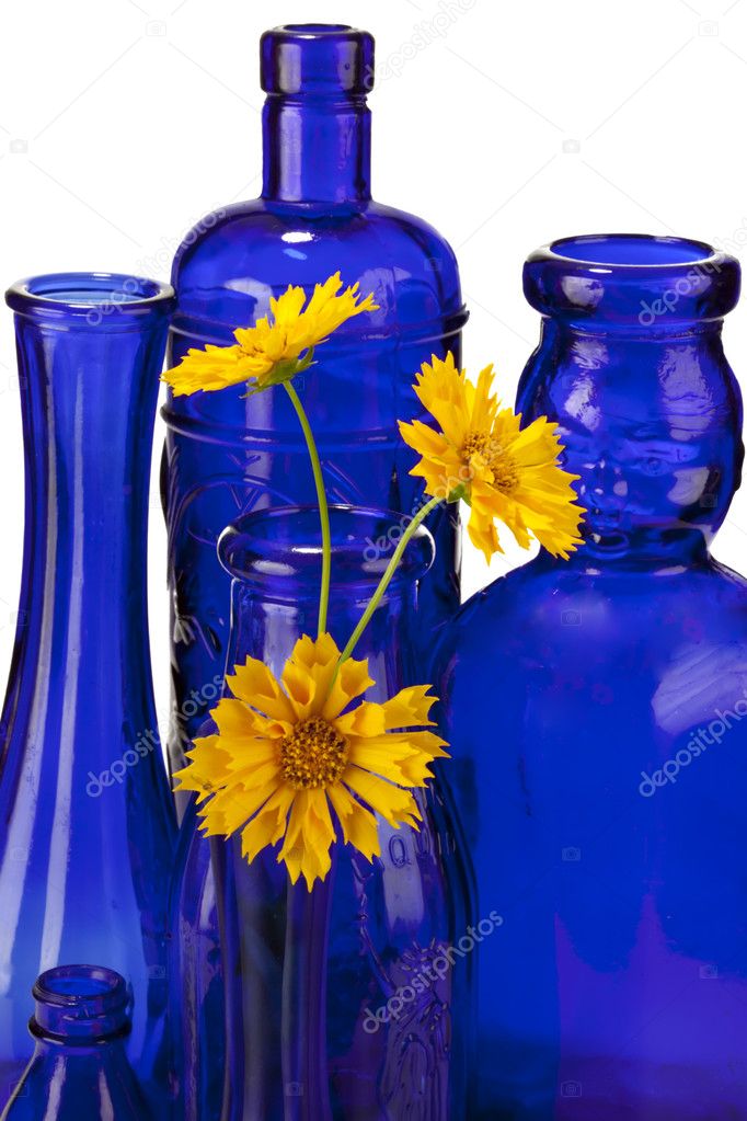 Cobalt blue bottles with yellow flowers isolated on white