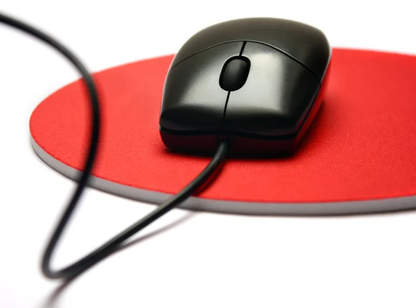 stock image Black mouse