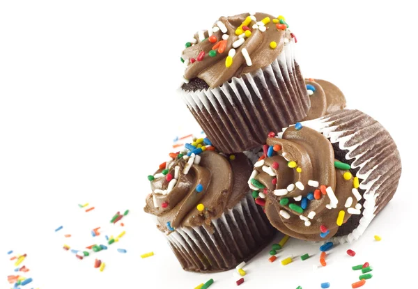Cupcakes de chocolate Imagens Royalty-Free