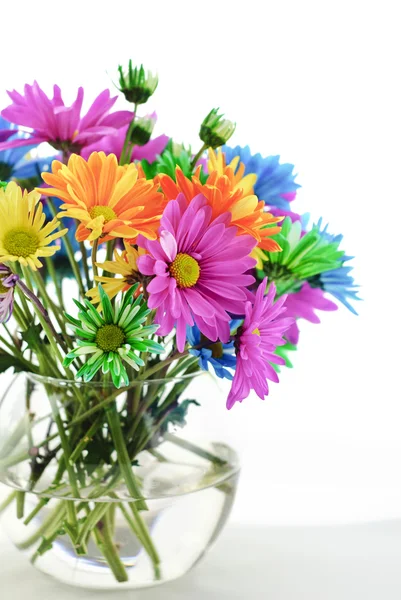Margaridas coloridas em um vaso — Fotografia de Stock