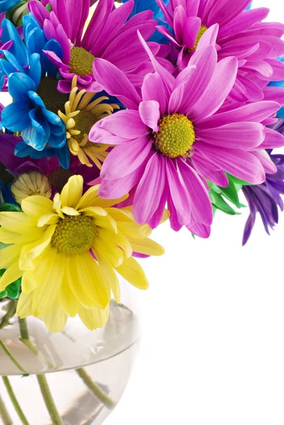 Renkli yüksek anahtar çiçekler — Stok fotoğraf