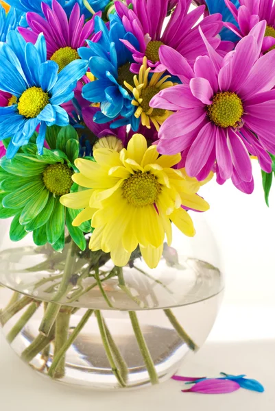 Bunte Gänseblümchen in der Vase — Stockfoto