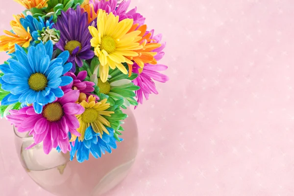Színes virágok rózsaszín háttér — Stock Fotó
