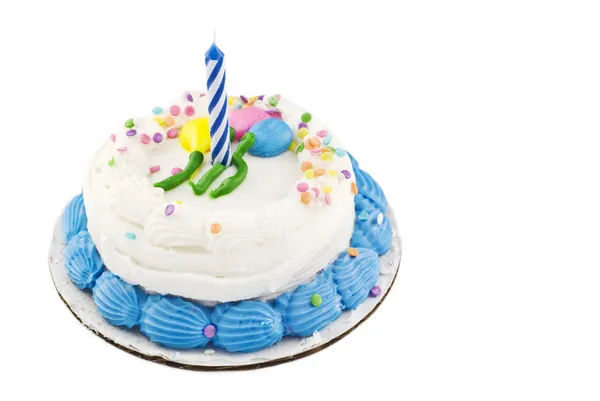 只有一支蜡烛的生日蛋糕 — 图库照片