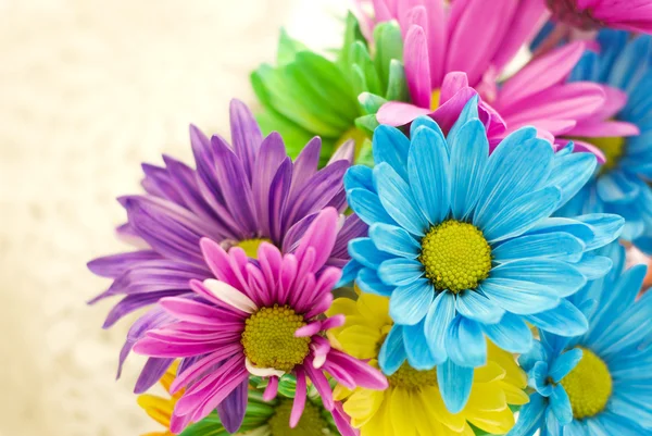 Fleurs printanières colorées Photos De Stock Libres De Droits
