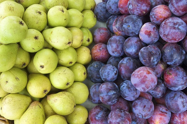 Pears and plums — Stock Photo, Image