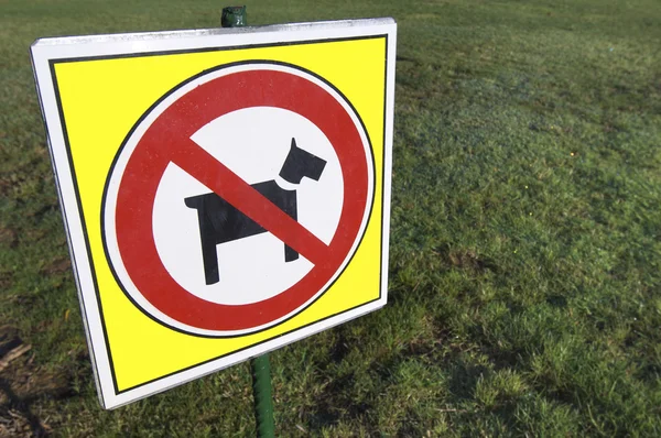 Inga hundar — Stockfoto